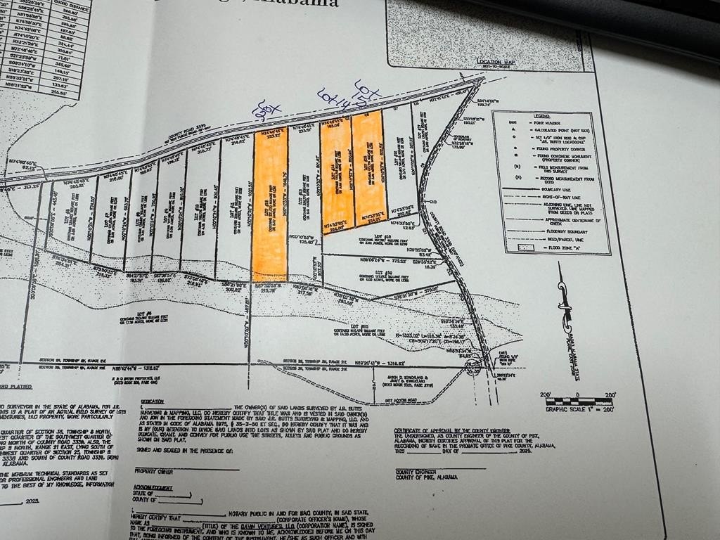 Picture 5