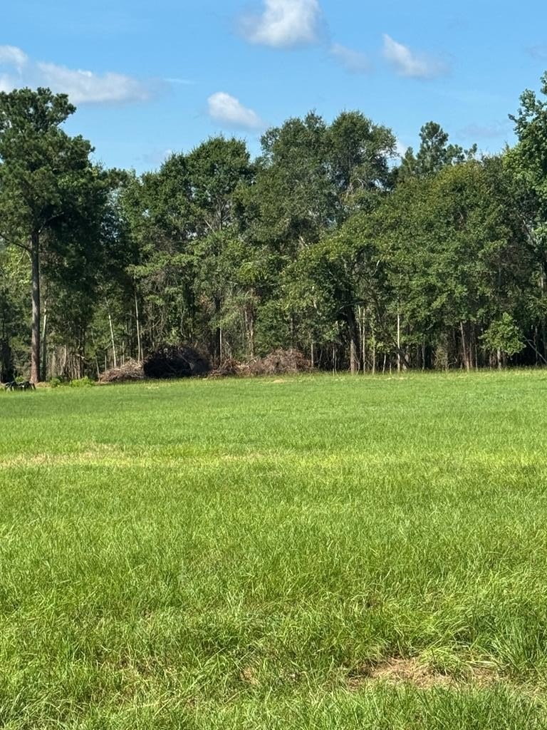 Land in Brundidge, Alabama