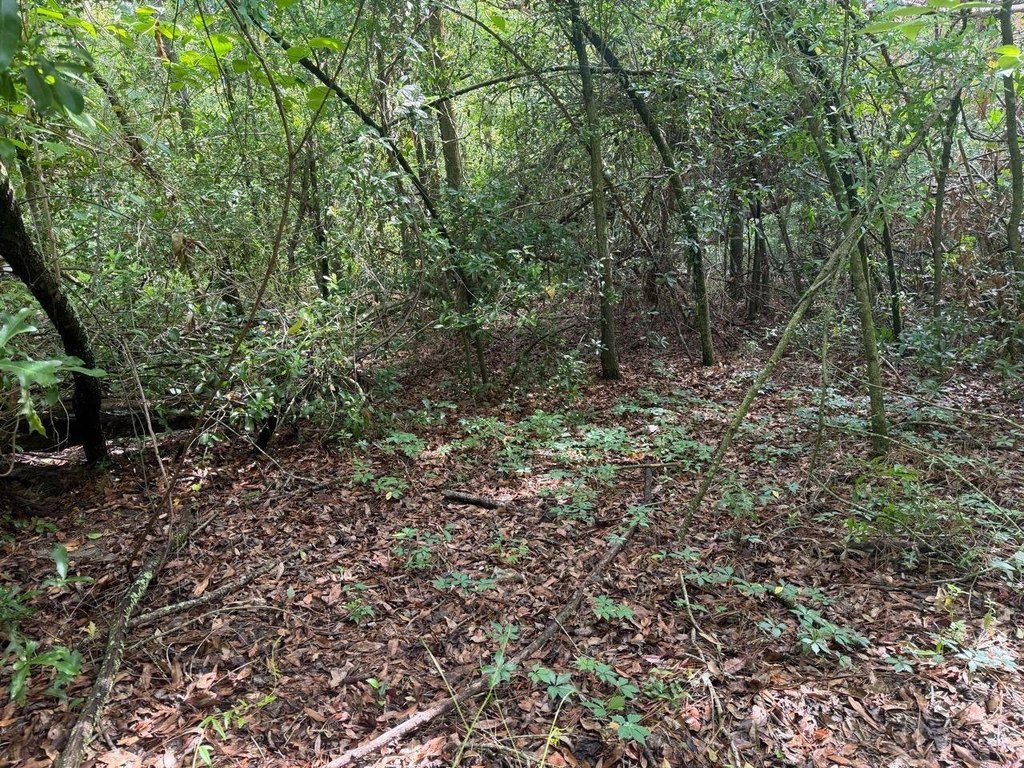 Picture 26