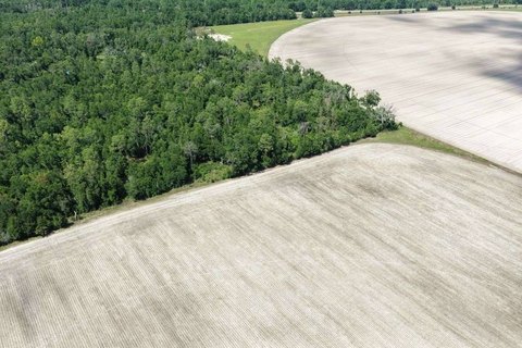 Land, Lee, FL
