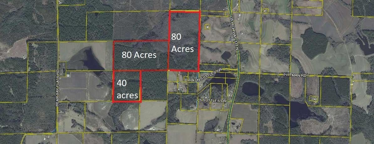 200 Acres in North Walton