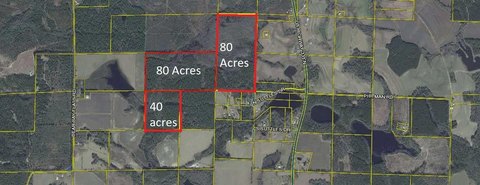 200 Acres in North Walton