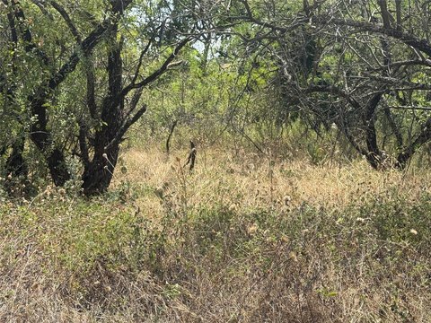 Land, Brownwood, TX