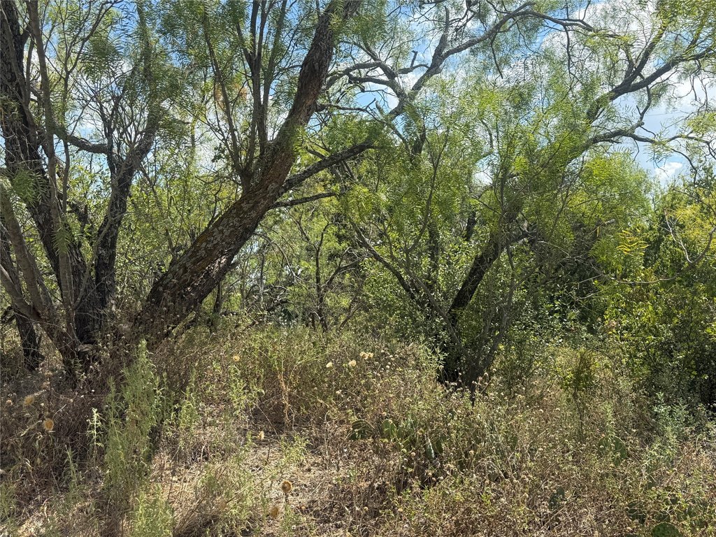 Picture 3