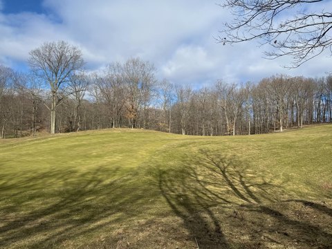 Land, Stanwood, MI
