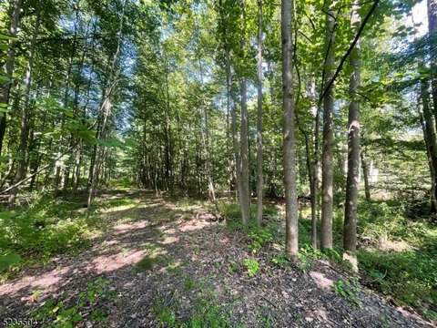 Wooded Residential Home Lot