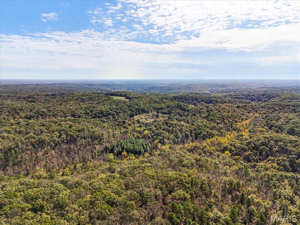 80 Acres of Wooded Hunting