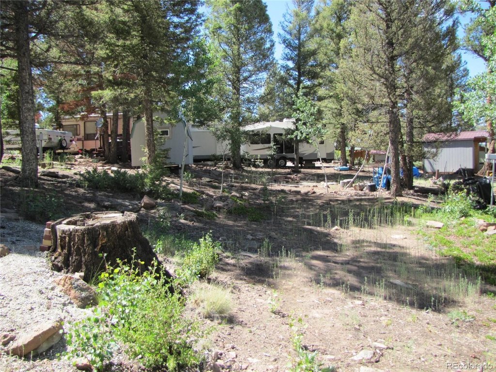 Picture 14