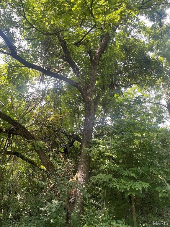 Picture 16