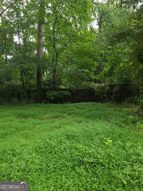 Picture 3