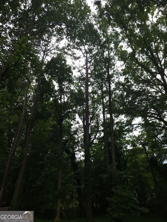 Picture 7