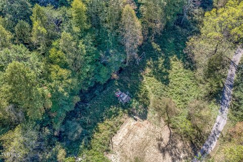 Land, Rogersville, TN