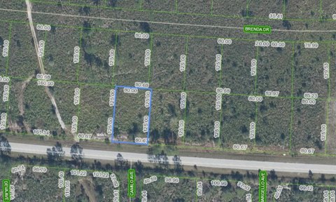 Land, SEBRING, FL