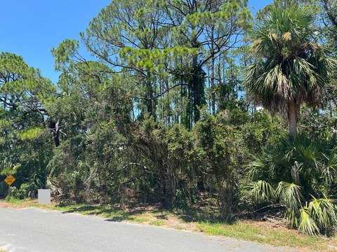 Cedar Key Waterfront Land