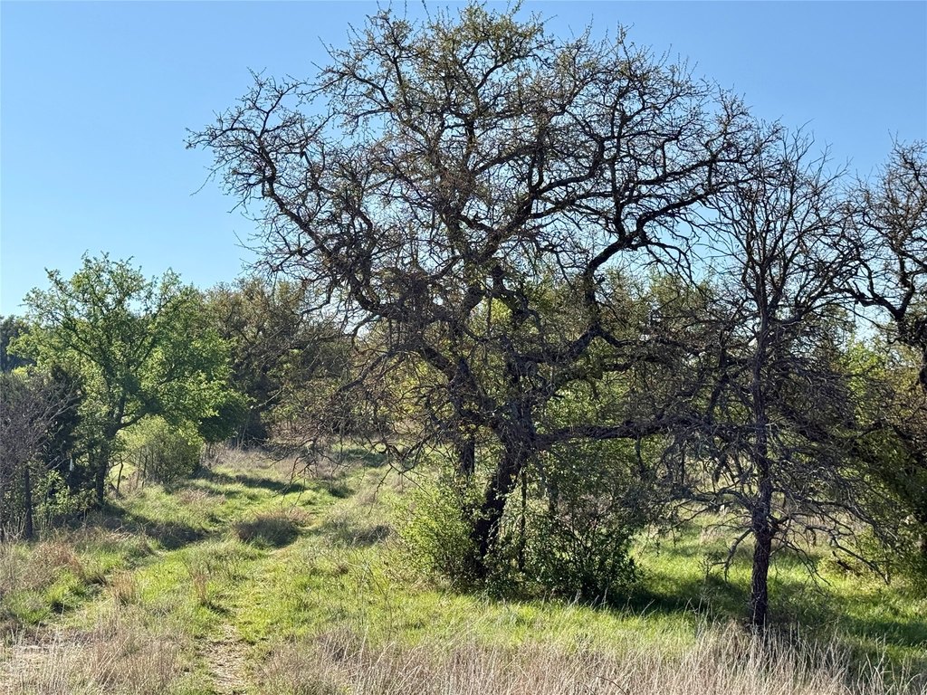 Picture 24