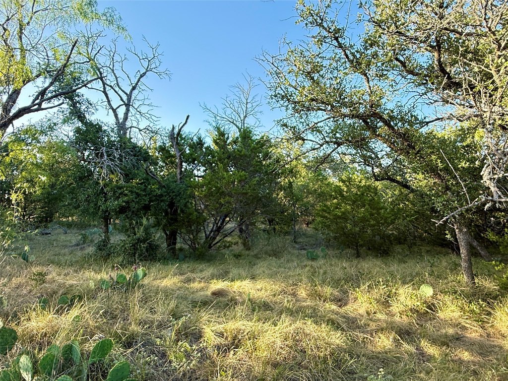 Picture 25