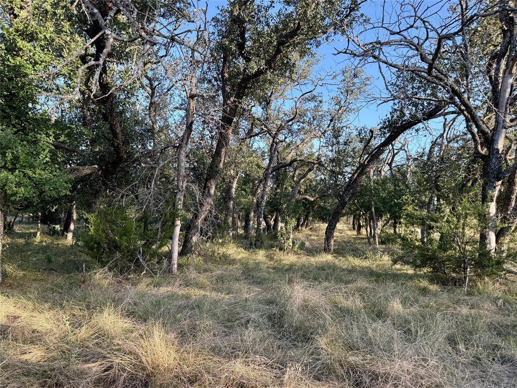 Picture 28