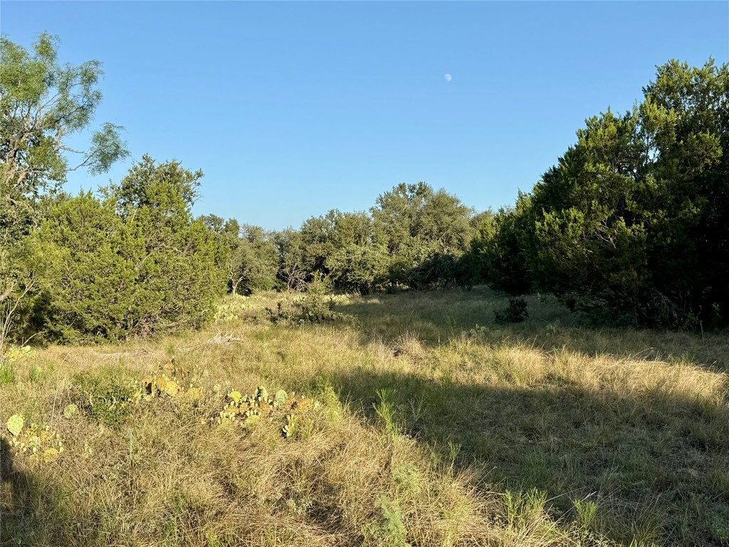 Picture 27