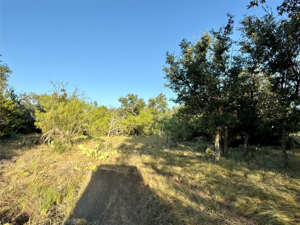 Picture 22
