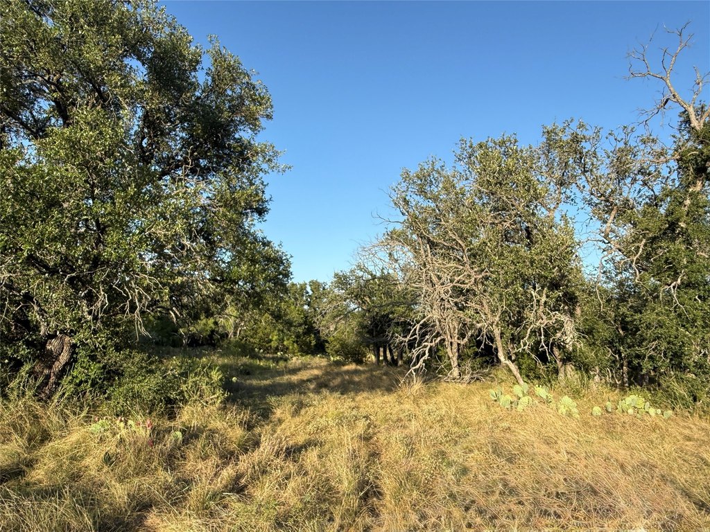 Picture 21