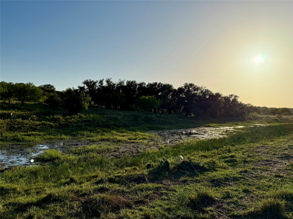 Picture 38