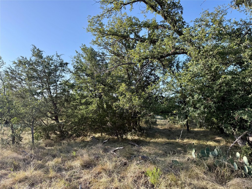 Picture 26