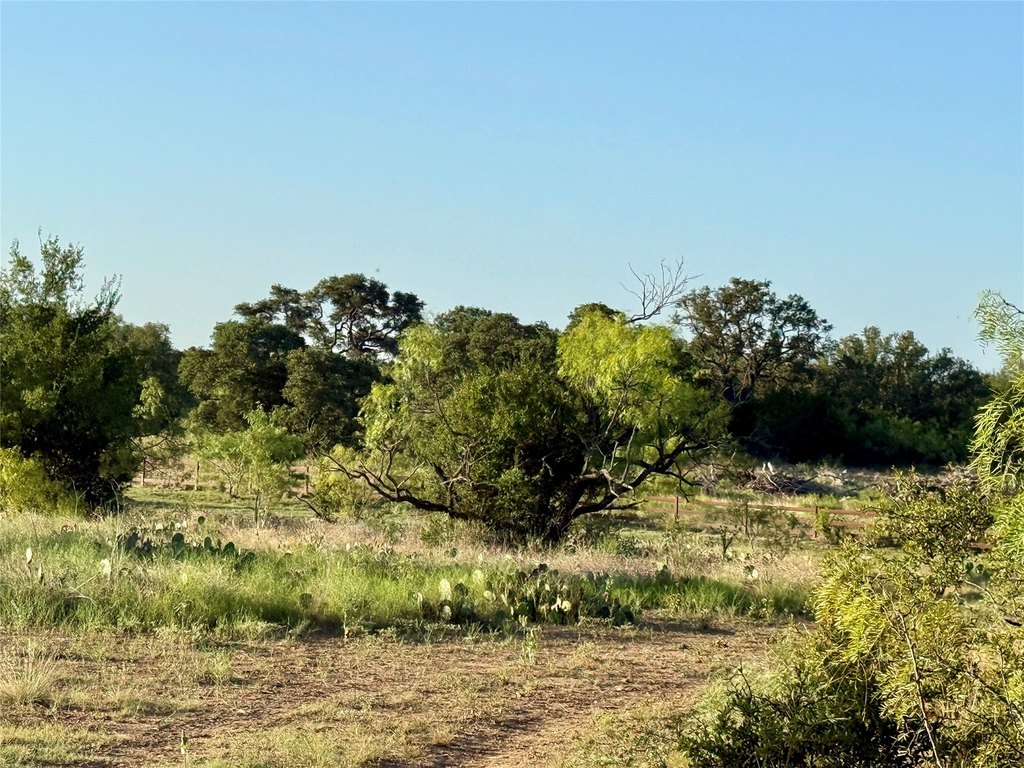 Picture 37