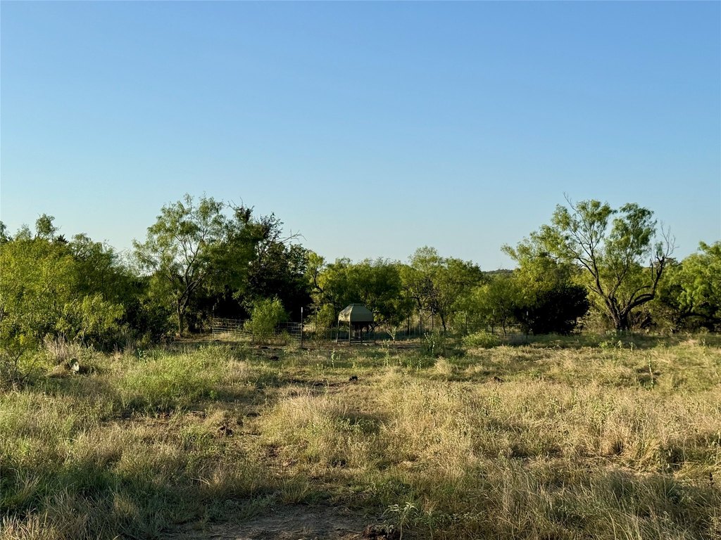 Picture 34
