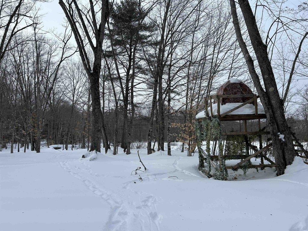 Picture 18