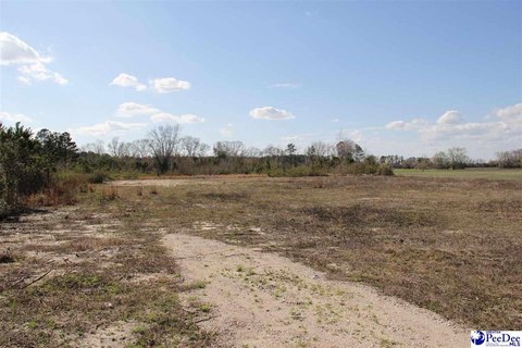 Lamar, SC Residential Land