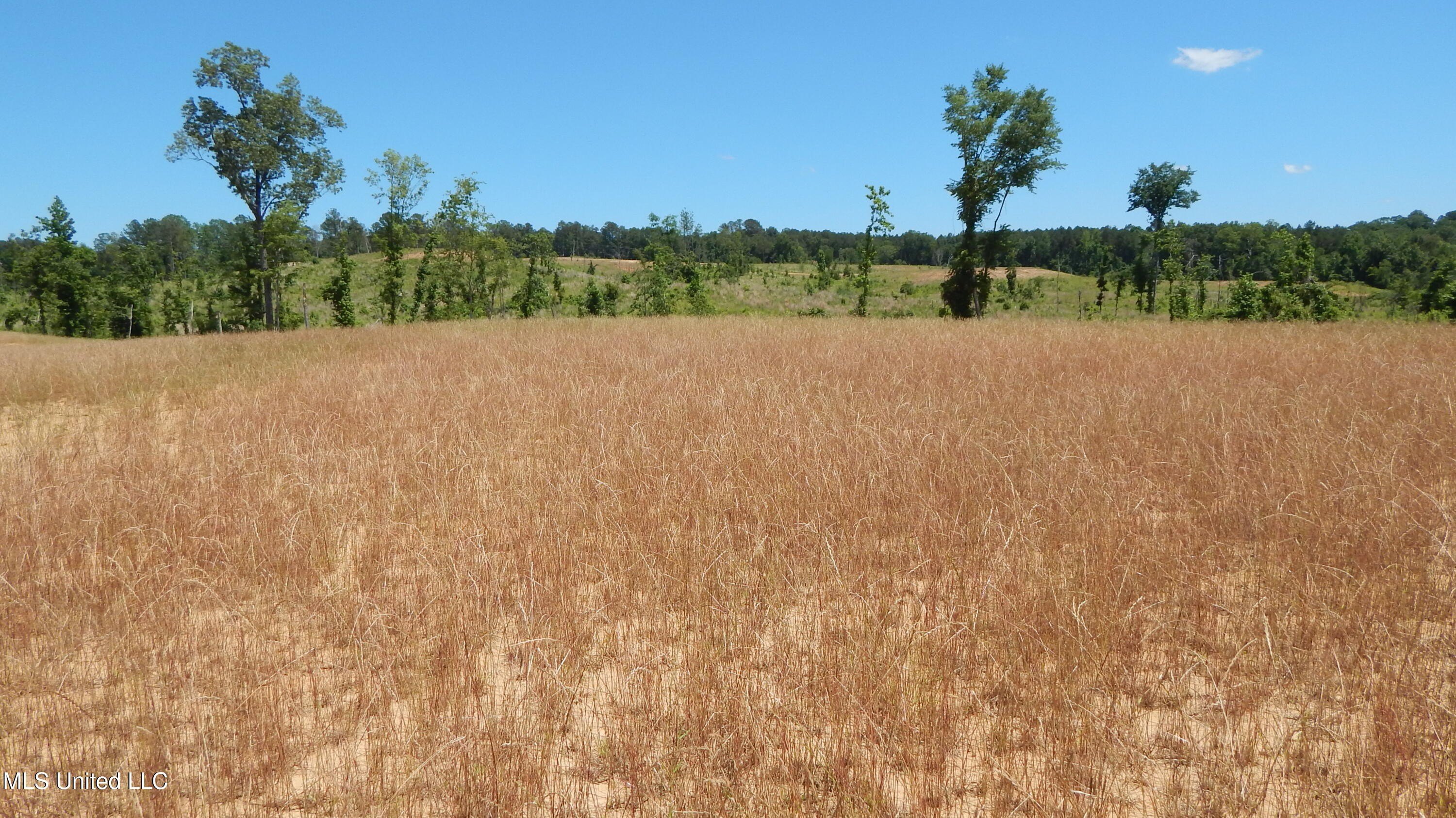 Grenada Lake Area Land