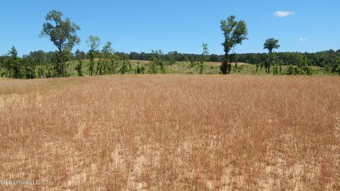 Grenada Lake Area Land