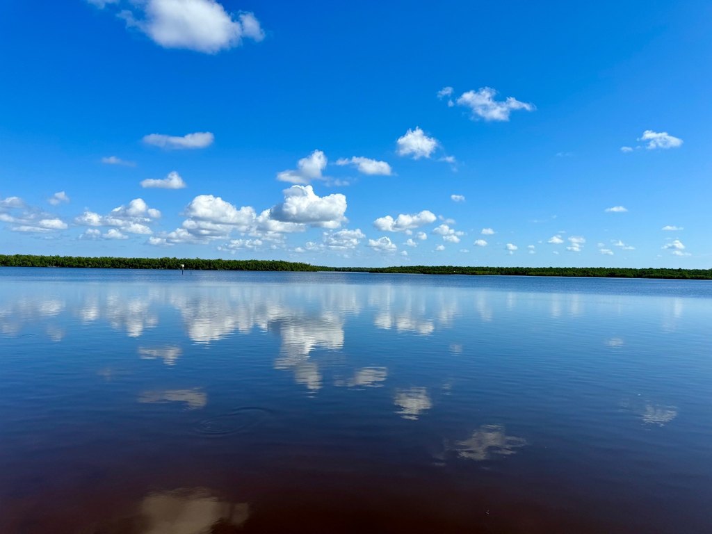Picture 6
