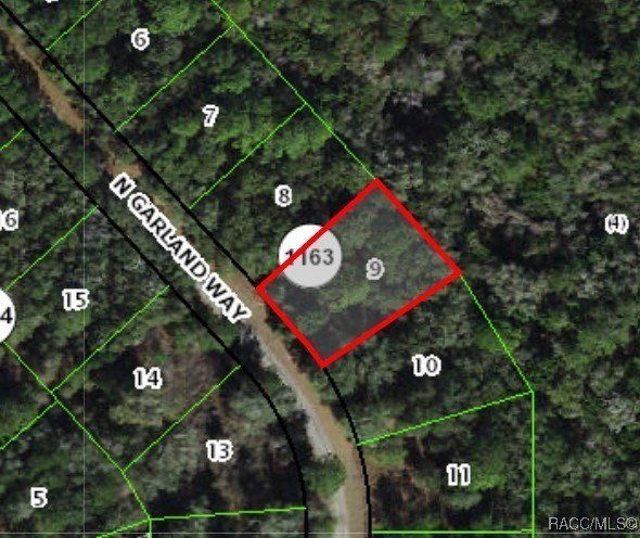 Citrus Springs Buildable Homesite Opportunity