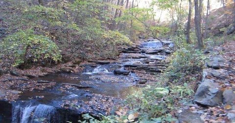 Ellijay Land with Mountain Views