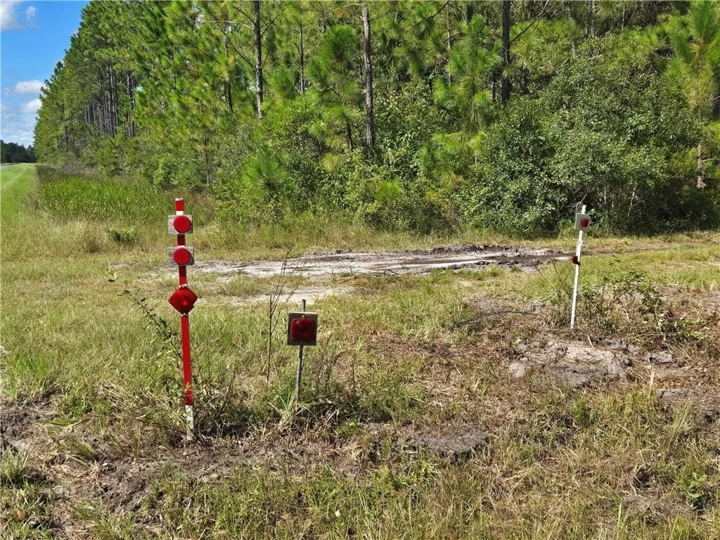 Picture 4