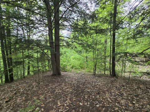 Temple, Maine Land Parcel