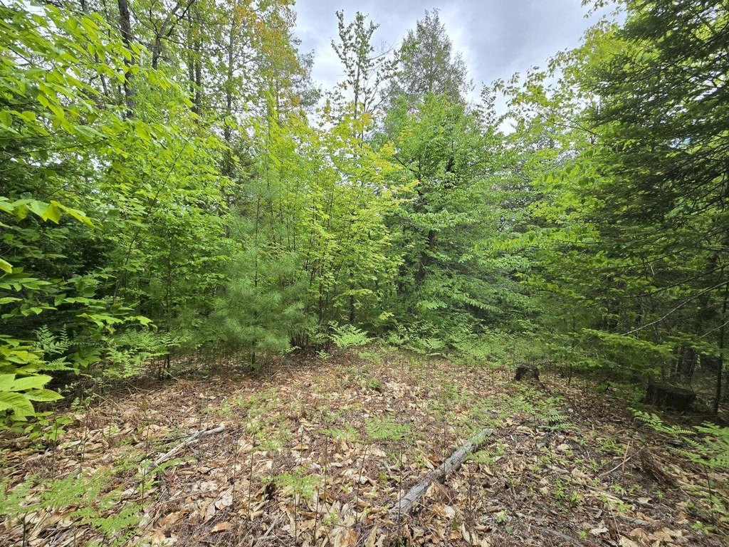 Picture 18