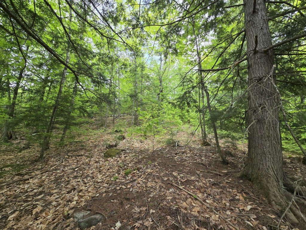 Picture 8