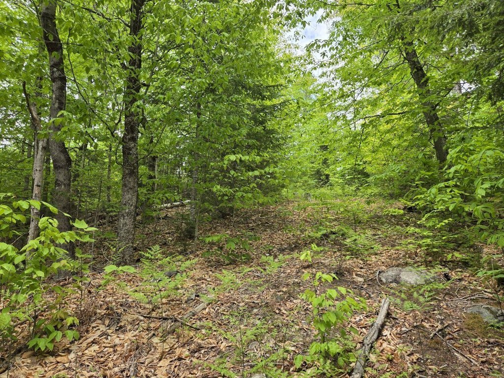 Picture 10