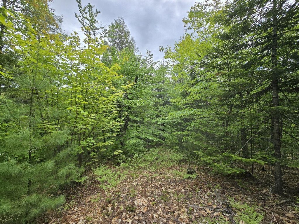 Picture 19