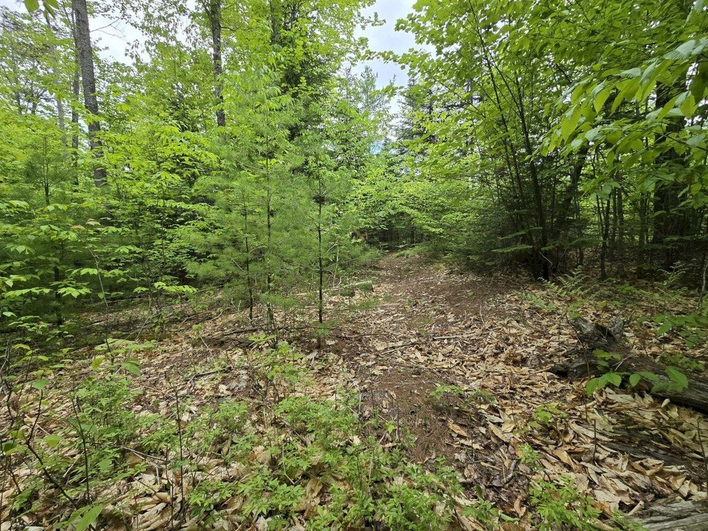 Picture 15