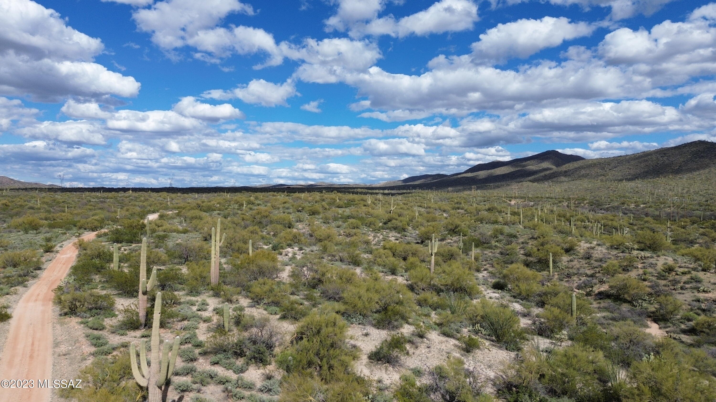 160 Acres Sonoran Desert Land