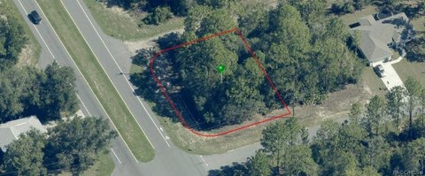 LAND - Citrus Springs, FL