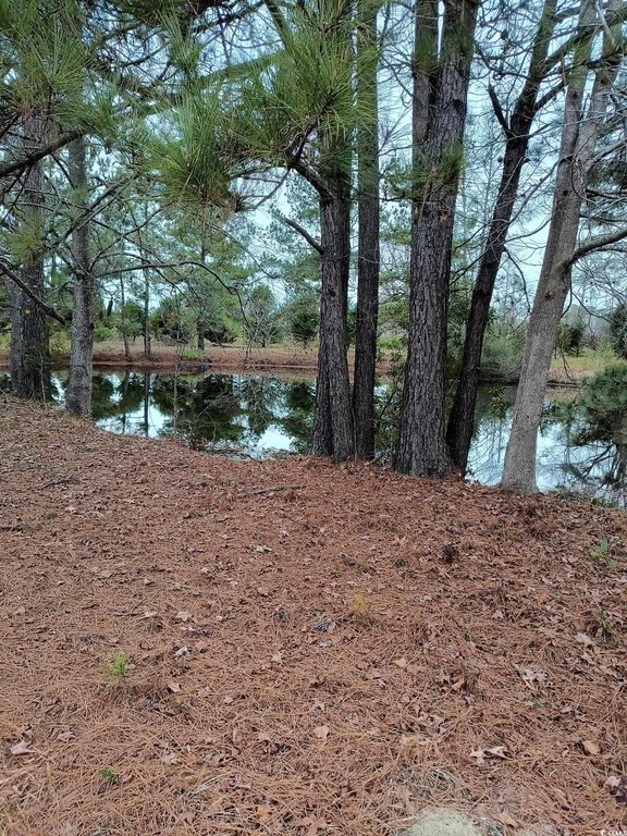 Picture 2