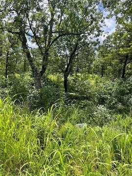 Land Near Lake Arbuckles