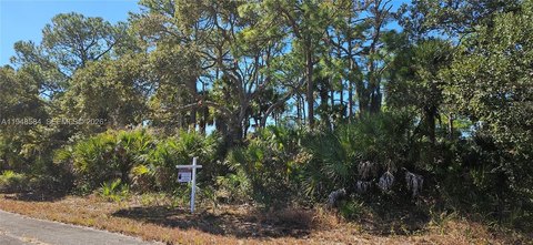 Residential Lot in La Belle