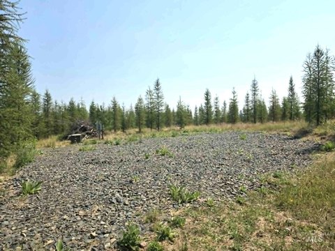 LAND - Orofino, ID