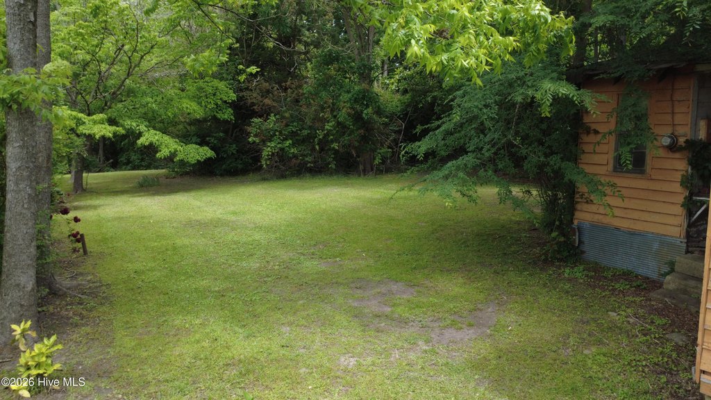 Picture 7