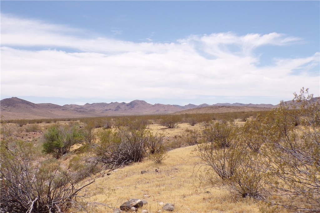 Picture 29